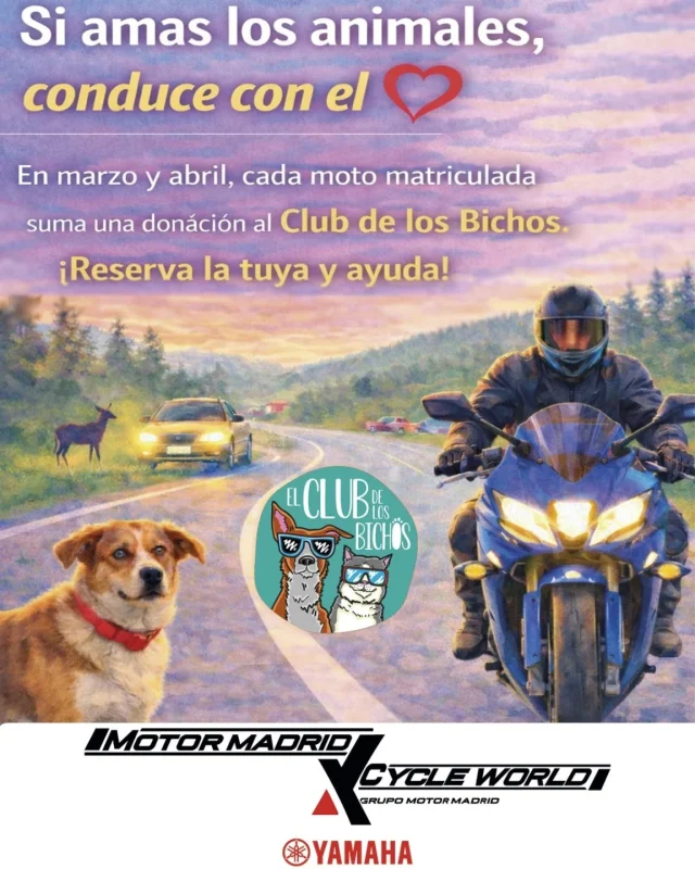 En Yamaha Motor Madrid y Cycle World estamos entusiasmados de anunciar esta nueva colaboración con l@s amig@s del @elclubdelosbichos.

La idea es fomentar el cuidado en carretera y apoyar la gran labor de las protectoras que cada día rescatan a muchas mascotas y le donan una nueva oportunidad.

La campaña está pensada para sensibilizar sobre temas tan importantes como la seguridad vial, el abandono y el peligro a lo que tanto nosotros moteros como los animales estamos sometidos al circular en condiciones no optimales.

Recuerda: protege su vida, protege la tuya.

En los meses de marzo y abril iremos recaudando 3€ netos para cada moto vendida en cada uno de los tres centros.

Así que, ya sabes, ¡conduce con el corazón!